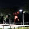 Post image for Frisbee Trick Shots vs. Basketball Trick Shots