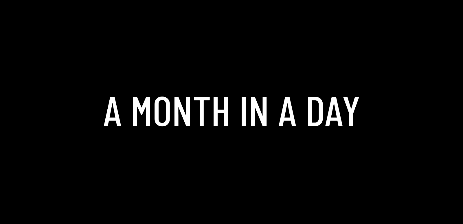 A Month In A Day